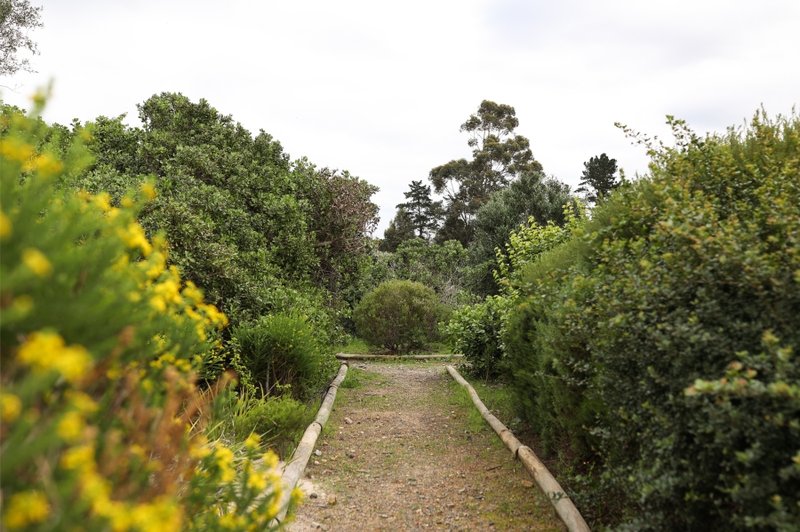 3 Bedroom Property for Sale in Somerset Forest Western Cape